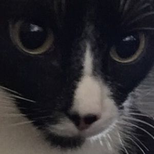 Meet your Posher, Sabina